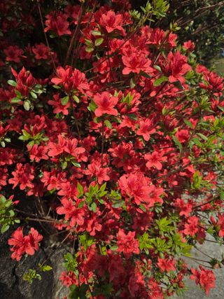 최동구님의 자유주제 · 자유게시판 작성글 사진