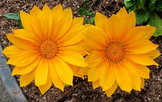 연향님의 자유주제 · 자유게시판 작성글 사진