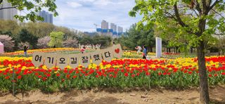 하은와송~♡♡♡~님의 자유주제 · 자유게시판 작성글 사진