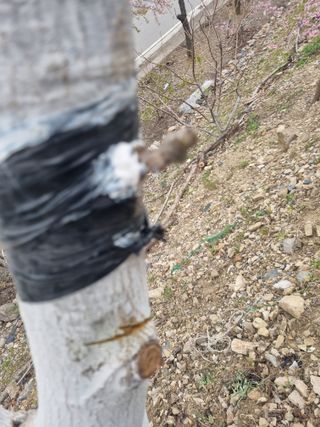 김용대님의 자유주제 · 자유게시판 작성글 사진