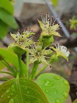 하나라도 소중하게님의 배·일상 작성글 사진