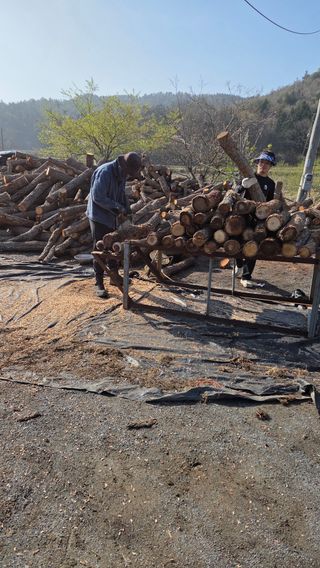 한밭농원님의 자유주제·자유게시판 작성글 사진