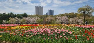 하은와송~♡♡♡~님의 자유주제 · 자유게시판 작성글 사진