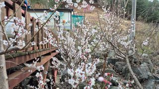 심재연님의 자유주제 · 자유게시판 작성글 사진