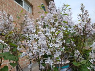 금동이네님의 자유주제 · 자유게시판 작성글 사진