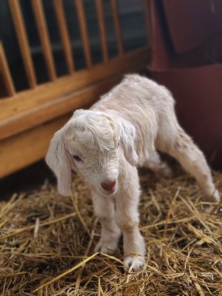 (천지산)님의 자유주제 · 자유게시판 작성글 사진
