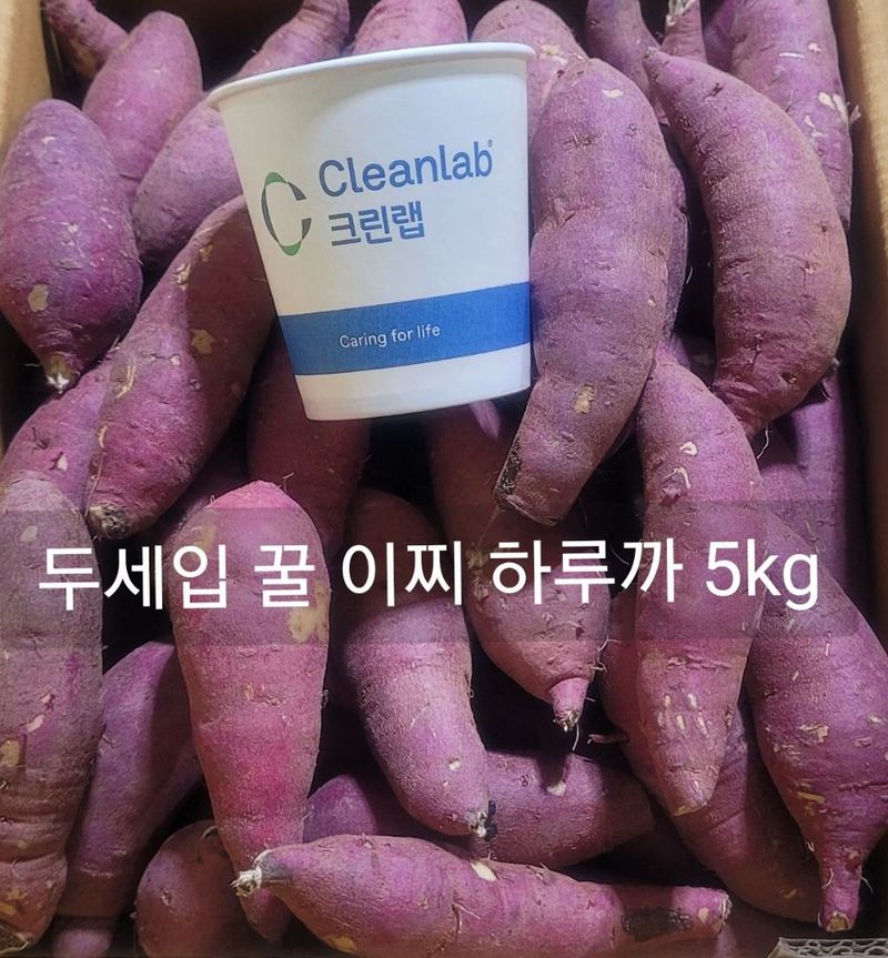 장터 상품 [  두세입 꿀 이찌 하루까 판매5kg] 썸네일