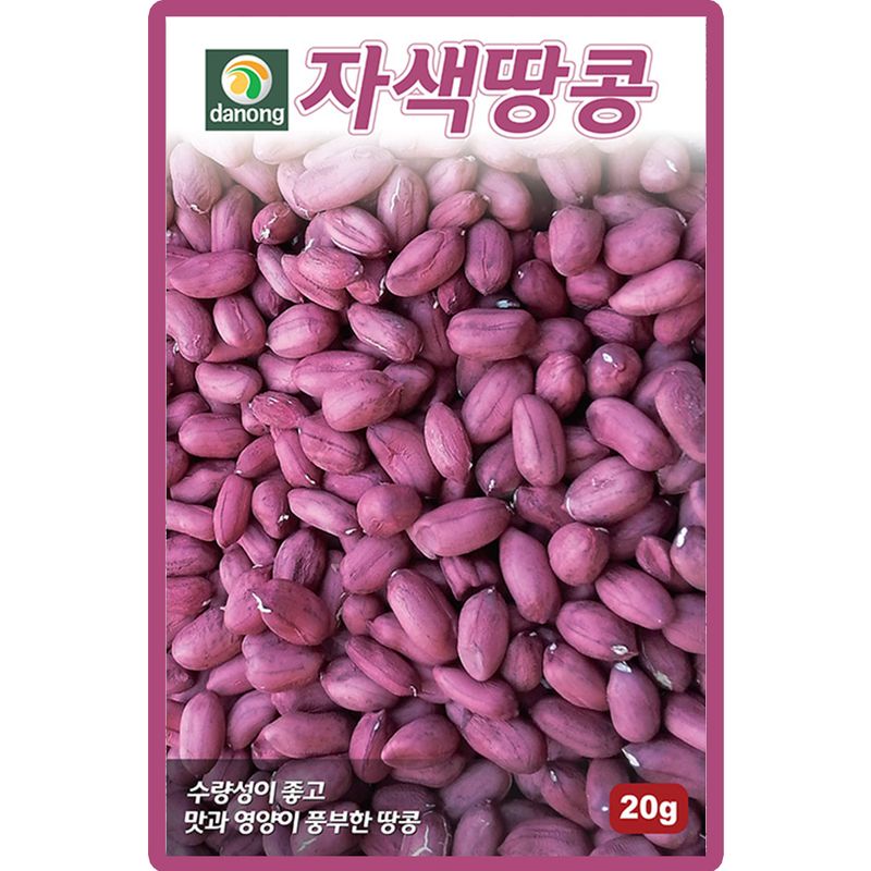 산들마켓,씨앗마켓님의 장터 판매 상품 [다농 자색땅콩 씨앗 20g 땅콩씨 종자] 첨부 사진