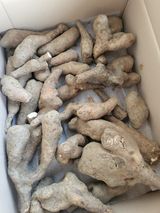 팜모닝 자유주제·자유게시판 게시글 이미지