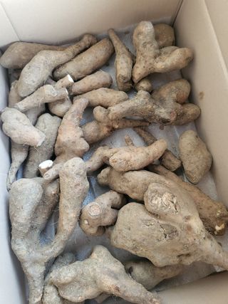 개농소농님의 자유주제 · 자유게시판 작성글 사진