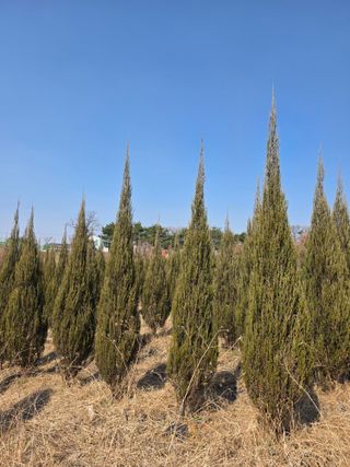 행복한나무농장님의 자유주제 · 자유게시판 작성글 사진