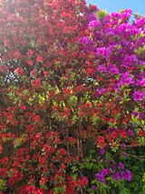 팜모닝 자유주제·자유게시판 게시글 이미지