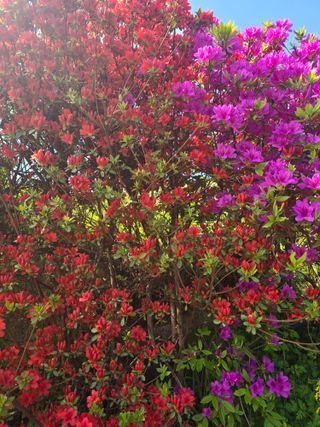 최동구님의 자유주제 · 자유게시판 작성글 사진