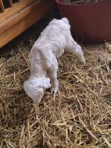 (천지산)님의 자유주제·자유게시판 작성글 사진