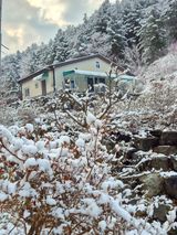 팜모닝 자유주제·자유게시판 게시글 이미지