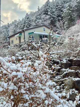 심재연님의 자유주제 · 자유게시판 작성글 사진