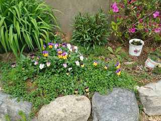 금동이네님의 자유주제 · 자유게시판 작성글 사진