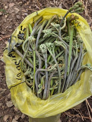 knlee님의 자유주제 · 자유게시판 작성글 사진