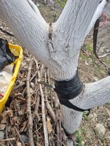 김용대님의 자유주제·자유게시판 작성글 사진