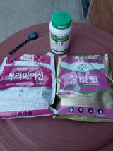 팜모닝 자유주제·자유게시판 게시글 이미지