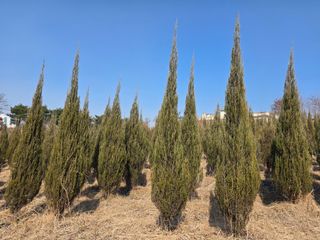 행복한나무농장님의 자유주제 · 자유게시판 작성글 사진