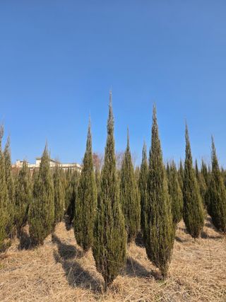 행복한나무농장님의 자유주제 · 자유게시판 작성글 사진