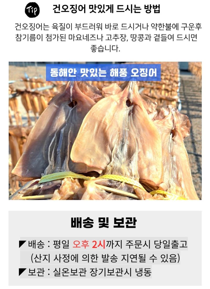 농수사님의 장터 판매 상품 [동해안 해풍 마른오징어 A급(10미) 특가] 첨부 사진