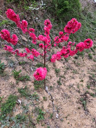 MSG0074님의 자유주제 · 자유게시판 작성글 사진