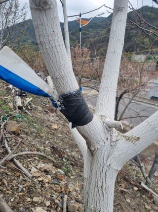 김용대님의 자유주제 · 자유게시판 작성글 사진