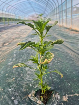 김혜순님의 자유주제 · 자유게시판 작성글 사진