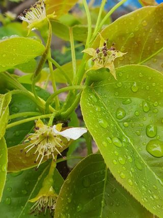 하나라도 소중하게님의 배 · 일상 작성글 사진