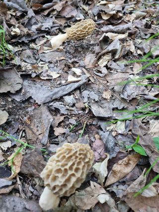 하예산방15926님의 자유주제 · 자유게시판 작성글 사진