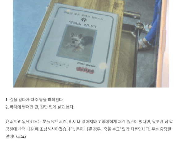 자재스토어님의 장터 판매 상품 [최상품 유박비료 20kg 유기질 비료 유기농 퇴비 고추 깻묵 거름 친환경 화초 화분 텃밭] 첨부 사진