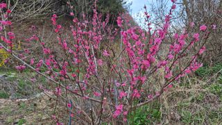 심재연님의 자유주제 · 자유게시판 작성글 사진