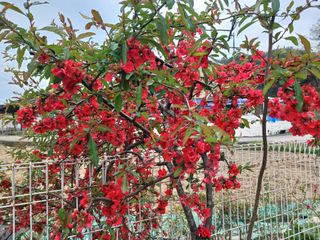 금동이네님의 자유주제 · 자유게시판 작성글 사진