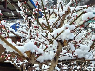 심재연님의 자유주제 · 자유게시판 작성글 사진