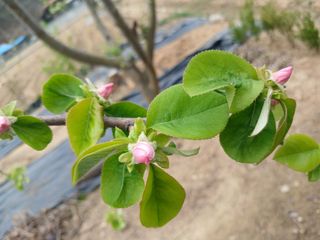 금동이네님의 자유주제 · 자유게시판 작성글 사진