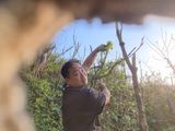 팜모닝 자유주제·자유게시판 게시글 이미지