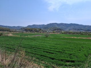 MSG0074님의 자유주제 · 자유게시판 작성글 사진