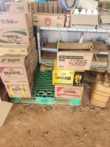 별빛나그네화성님의 자유주제·자유게시판 작성글 사진