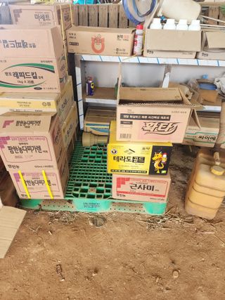 별빛나그네화성님의 자유주제 · 자유게시판 작성글 사진