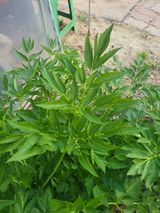 유경임님의 자유주제·자유게시판 작성글 사진