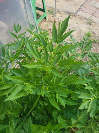 유경임님의 자유주제 · 자유게시판 작성글 사진