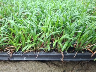 김민정님의 자유주제 · 자유게시판 작성글 사진