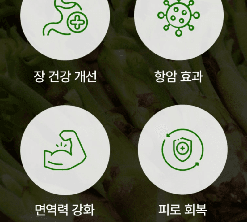 스피드번님의 장터 판매 상품 [개두릅 (엄나무순)] 첨부 사진