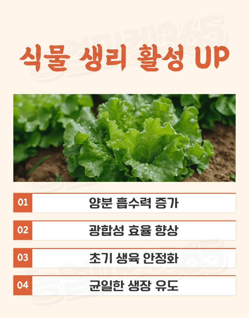 농업마켓365님의 장터 판매 상품 [텃밭애뿌리 1kg 뿌리활착 토양처리제 뿌리발근제 복합비료] 첨부 사진