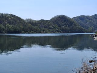 MSG0074님의 자유주제 · 자유게시판 작성글 사진