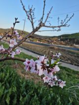 팜모닝 자유주제·사진전 게시글 이미지