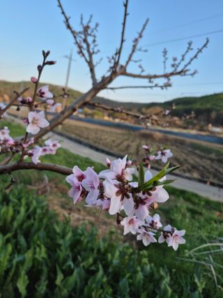 이정민님의 자유주제·사진전 작성글 사진