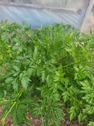 유경임님의 자유주제·자유게시판 작성글 사진